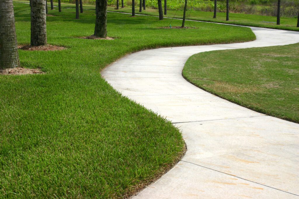 A sidewalk with grass growing on it and trees in the background.